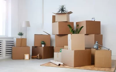 Seasonal Moving Tips: Moving to Clarksburg in the Summer