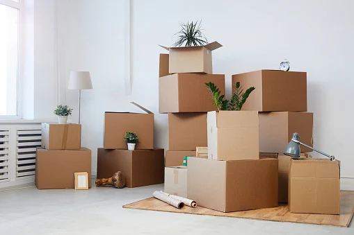 Moving & Storage Facilities