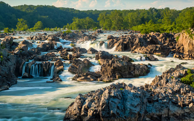 How to Plan a Seamless Move to Potomac, MD